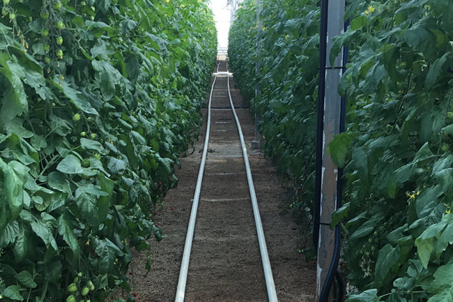 Calefacción por Agua Caliente Calefacción por Agua Caliente