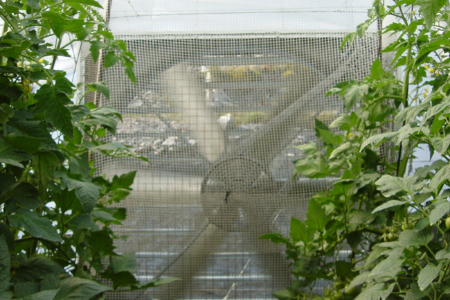 Ventilador Extractor con tela de protección para abejorros.