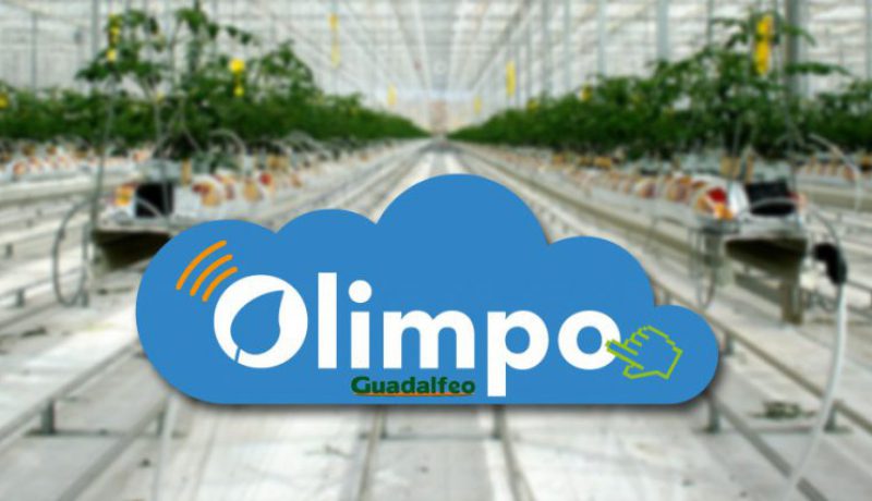 Olimpo-blog4